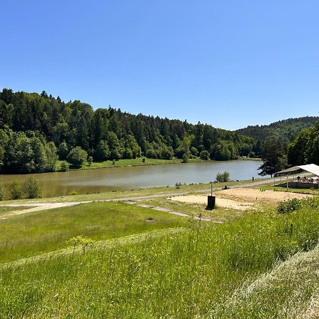 Apartman Na Kraji Lesa Všemina 외부 사진