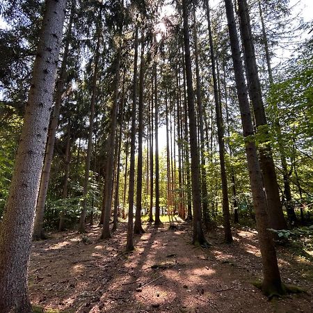 Apartman Na Kraji Lesa Všemina 외부 사진