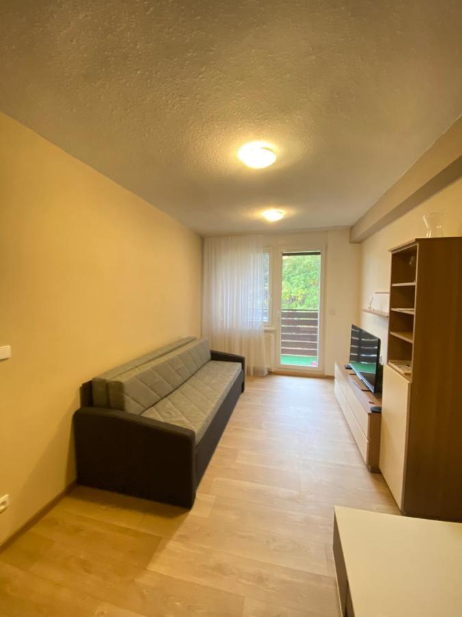 Apartman Na Kraji Lesa Všemina 외부 사진